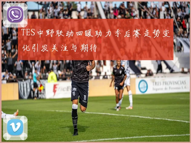 TES中野联动回暖助力季后赛走势变化引发关注与期待