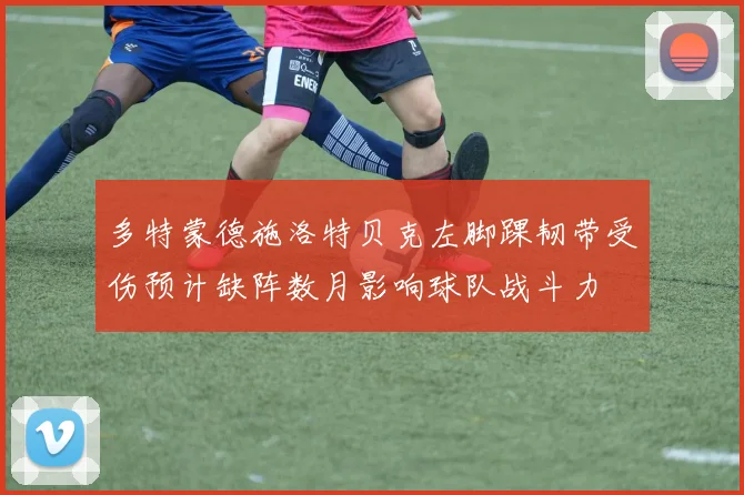 多特蒙德施洛特贝克左脚踝韧带受伤预计缺阵数月影响球队战斗力